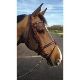 BRIDON CAVALETTI CLASSIC CSO COMBINEE