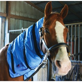 Equi Cool Down Neck Wrap