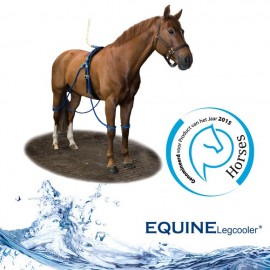 EQUINE LEGCOOLER 4 membres