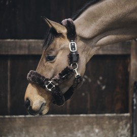 Licol de Transport Mouton Kentucky - Marron