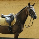 Kentucky Horsewear Tapis CSO Velvet - Moutarde