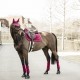 Kentucky Horsewear - Bande de Polo Velvet - Fuchsia