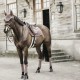 Kentucky Horsewear - Bande de Polo Velvet - Palme