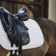 Kentucky Horsewear - Tapis Dressage Pearls