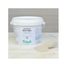 Biotine + Poudre 1.2 Kg