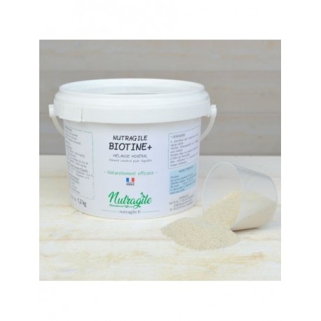 Biotine + Poudre 1.2 Kg