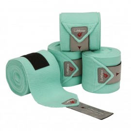 PRECOMMANDE - Lemieux Bandes de Polo - Mint