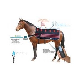 PRECOMMANDE - Ezihorse Back Pro Couverture Vibrante Massante et Chauffante