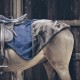 Kentucky Horsewear - Couvre-Reins All Weather 160g