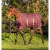 Couverture d'extérieur Foal Horseware