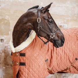 Kentucky Horsewear -Couverture de présentation - Orange