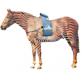 Equissage Pulse Pack Pro - Massage Profond