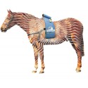 DOUBLE OFFRE - Equissage Pulse Pack Pro - Massage Profond pour tout le corps