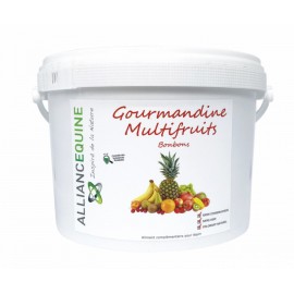 ALLIANCE EQUINE Bonbons Gourmandine Multifruits