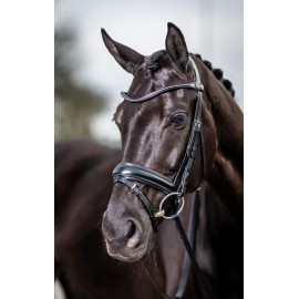 Lemieux Classic Dressage Bridle Filet