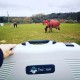 CRYOTHERAPIE KAASEN EQUINE