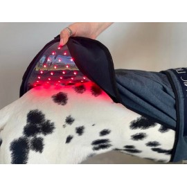 Photonic Canine Therapy-Tec