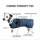 Photonic Canine Therapy-Tec