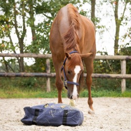 Coussin du Foin Slow Feeder