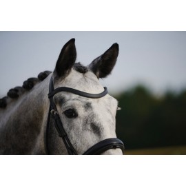 AIM' HORSE CONTACT+ FRONTAL MAGNETIQUE