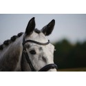 AIM' HORSE CONTACT+ FRONTAL MAGNETIQUE