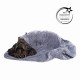 PAWDAW OF LONDON - LUXURY CHIEN MANTEAU SECHANT
