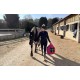 HEICA HORSE FLUFFY FEEDER - FILET SLOW FEEDER 6