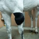 ICE HORSE ALL PURPOSE ICE WRAP - BANDE DE FROID