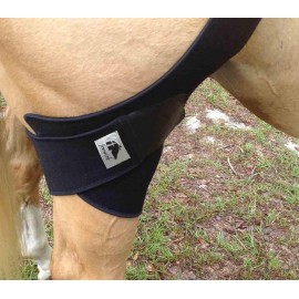 FENWICK LIQUID TITANIUM GRASSET HARNAIS