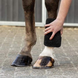 EPONGE EQUI SUPER SHINER