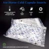 ICE HORSE COLD CAPSULE INSERT