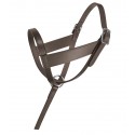 LICOL FOAL EN CUIR
