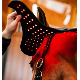 HORSEWARE BONNET DE THERAPIE LED