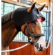 HORSEWARE BONNET DE THERAPIE LED