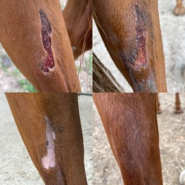 KARITALE BAUME REPARATEUR CUTANE