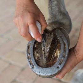 KARITALE NETTOYANT SABOT