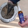 BLEU-ROY HOOF RESCUE