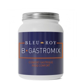 BLEU-ROY B-GASTROMIX 1KG