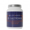 BLEU-ROY B-GASTROMIX 1KG