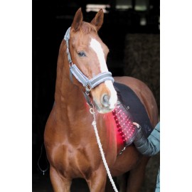 PHOTONIC LIGHTS COUVERTURE CHEVAL THERAPEUTIC