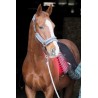 PHOTONIC LIGHTS COUVERTURE CHEVAL THERAPEUTIC
