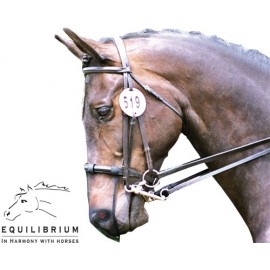 Couverture magnétique Equilibrium, sellerie Horse and Co, equipement du  cheval