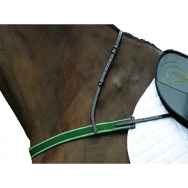 Bricole de courses racing breastplate