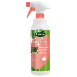 Démêlant Easy Shine de Ravene